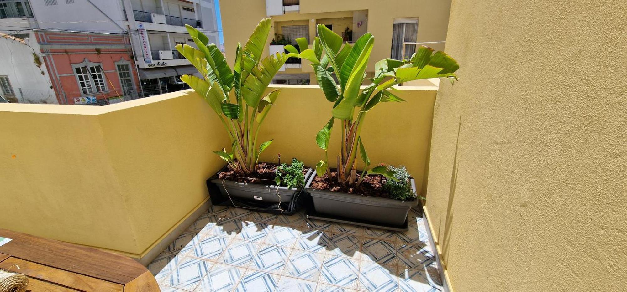 Apartmán Casa Da Acoteia FAO Exteriér fotografie