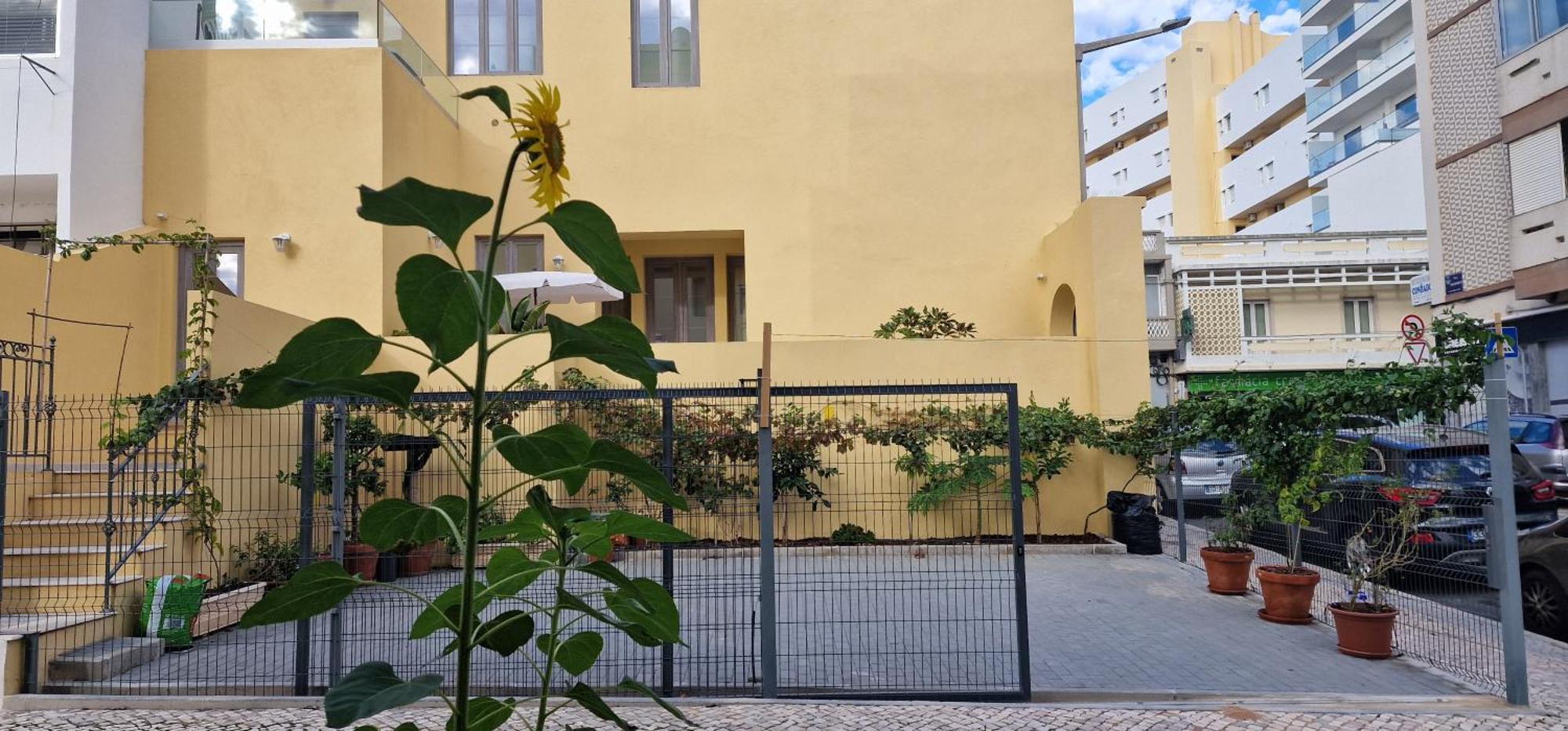 Apartmán Casa Da Acoteia FAO Exteriér fotografie